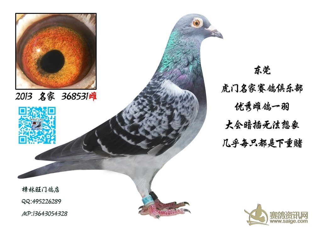 “三亿体育”国内首例逆向物流模式诞生(图2) 三亿体育