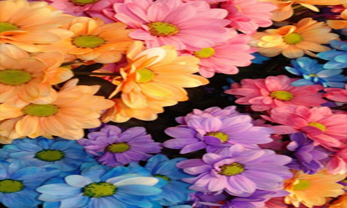 经典受苦动作游戏《蔷薇十字小剑》登陆Steam“三亿体育手机版”(图1) 三亿体育