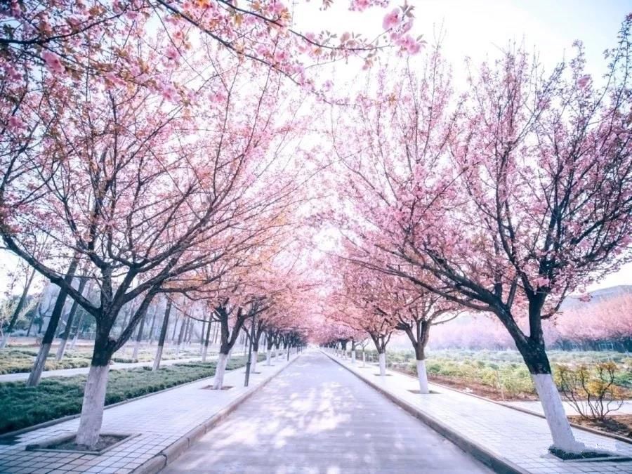 三亿体育|
中国最难考的顶尖大学有哪些?(图4) 三亿体育手机版