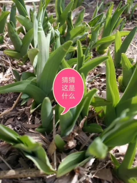 三亿体育|
中国最难考的顶尖大学有哪些?(图8) 三亿体育