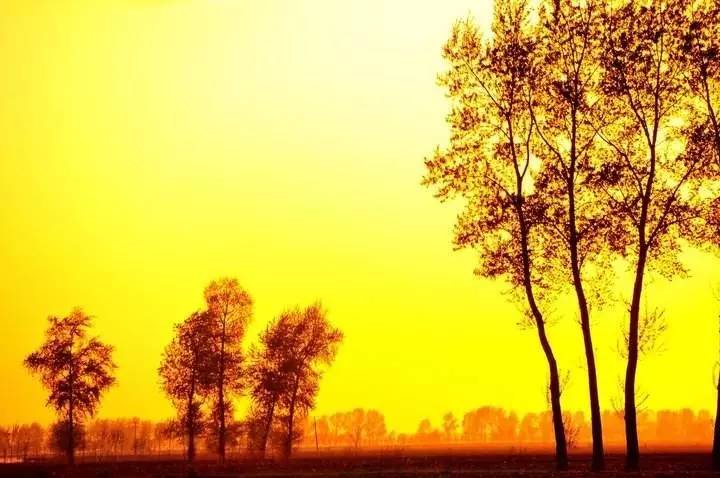 国家地下水监测工程内蒙古巴彦淖尔标段钻井工程提前完工:三亿体育官网(图2) 三亿体育手机版