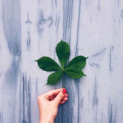 三亿体育手机版:《寒霜朋克》公布游戏新演示 建造赛博朋克城市(图2) 三亿体育手机版