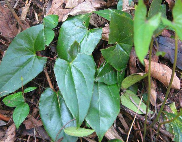 想去国家电网事情,湖北这所“四非大学”是首选,结业就有铁饭碗-三亿体育官网(图1) 三亿体育手机版