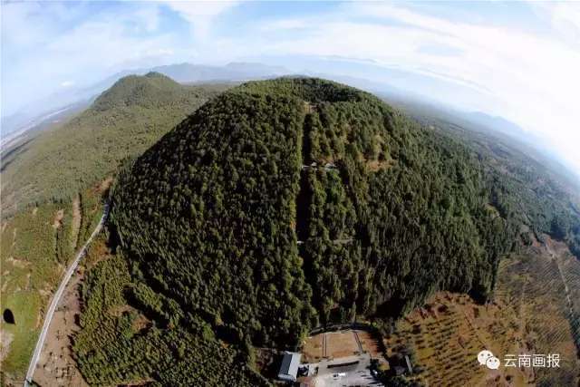 上半年县域快递业务超出整体快递业务近20个百分点“三亿体育”(图2) 三亿体育手机版