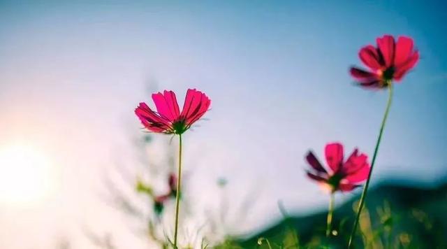 三亿体育|《守望先锋》公布万圣节全新漫画 曝光源氏新皮肤(图3) 三亿体育