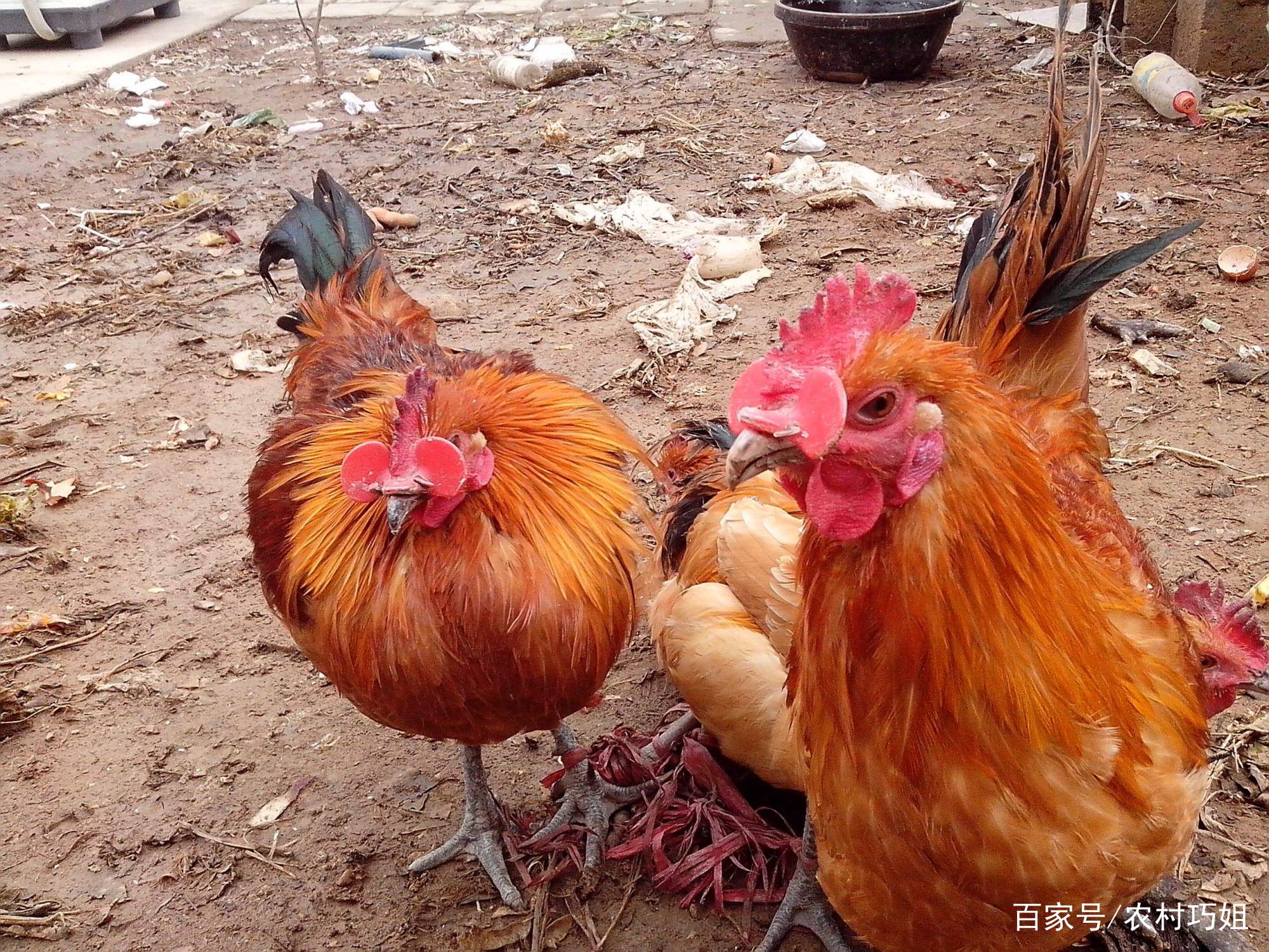 三亿体育官网_《毁灭战士4》推出免费多人DLC 周末可免费试玩(图2) 三亿体育手机版