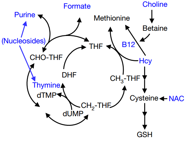 山东水利职业学院隆重举行2020级新生开学仪式暨军训汇报演出‘三亿体育手机版’(图13) 三亿体育手机版