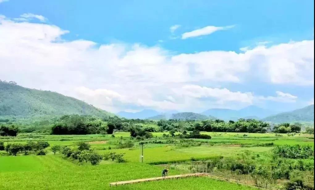 三亿体育手机版