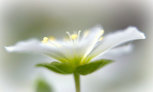 【三亿体育官网】发钱啦!每人1500元!切合条件的柳州人快申请!(图2) 三亿体育