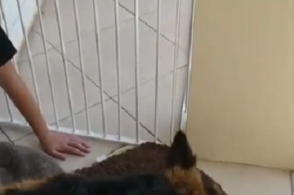 地下防水工程施工质量验收规范(GB50208-2002)‘三亿体育手机版’(图1) 三亿体育手机版