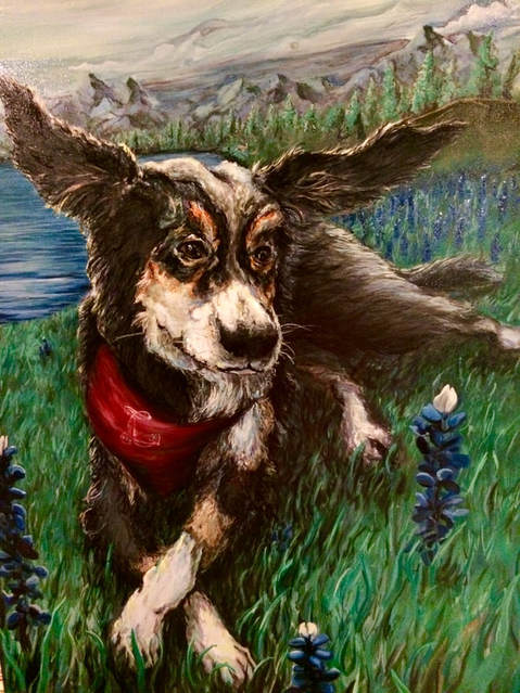 三亿体育手机版