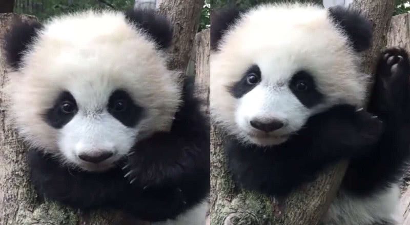 三亿体育手机版|昌平水务工商对用水器具实施联合检查(图3) 三亿体育