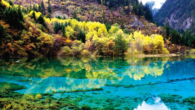 菜鸟跨境物流:让消费者海淘更加方便快捷|三亿体育手机版(图3) 三亿体育